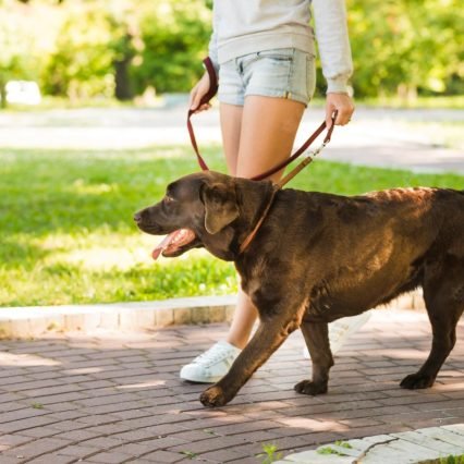 Walking