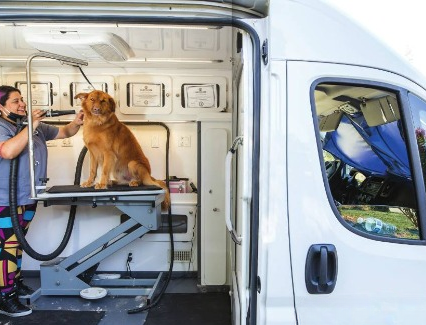 Mobile Grooming | Mobile Grooming Dubai | Pet Mobile Grooming | Mobile Grooming in Abu Dhabi | Mobile Grooming Abu Dhabi