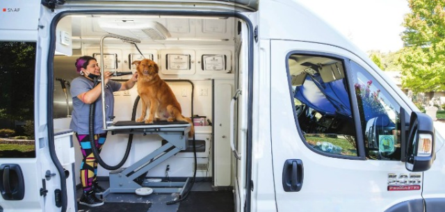 Mobile Grooming | Mobile Grooming Dubai | Pet Mobile Grooming | Mobile Grooming in Abu Dhabi | Mobile Grooming Abu Dhabi