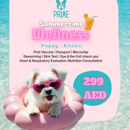 Summertime Wellness