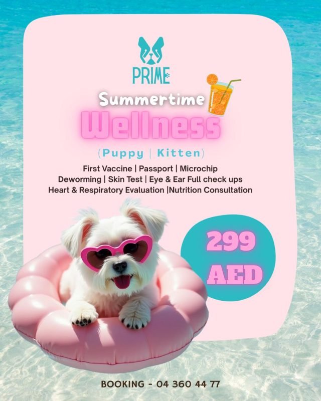 Summertime Wellness