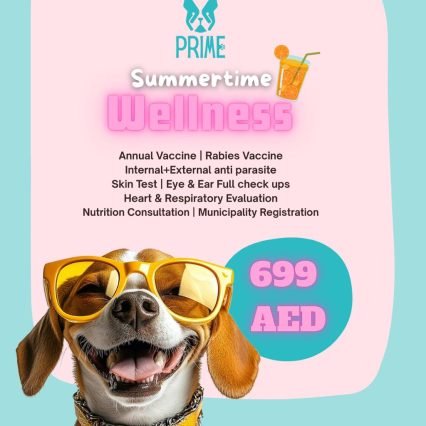 Summertime Wellness