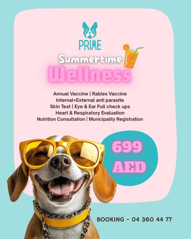 Summertime Wellness