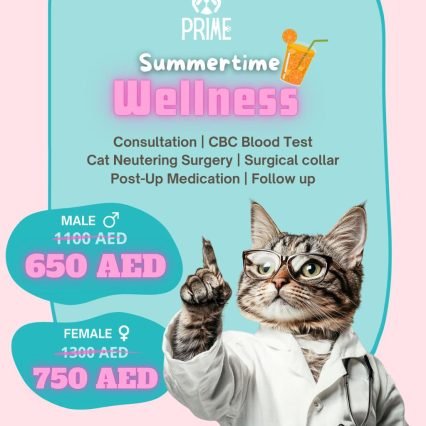 Summertime Wellness
