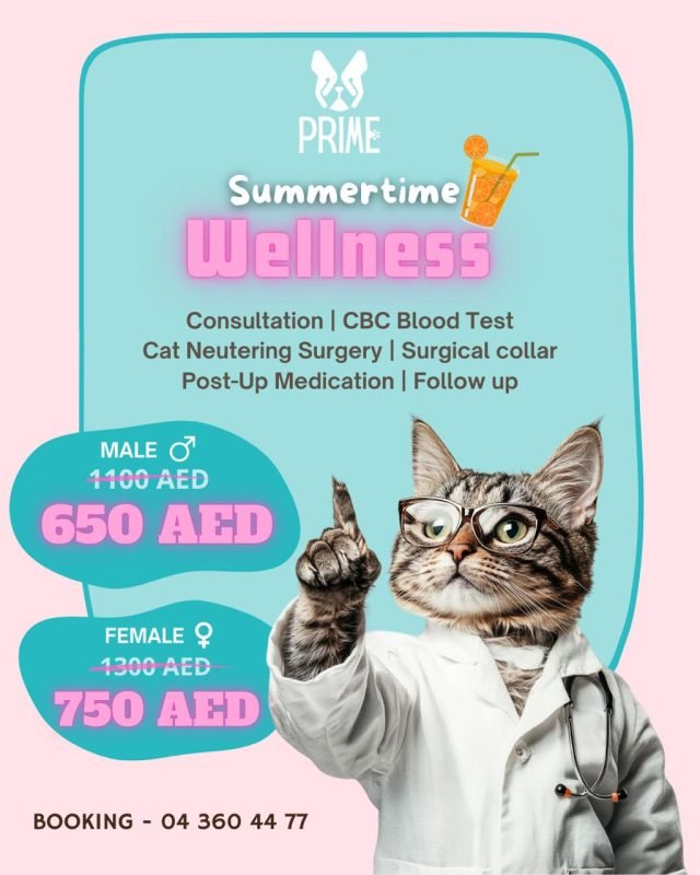 Summertime Wellness