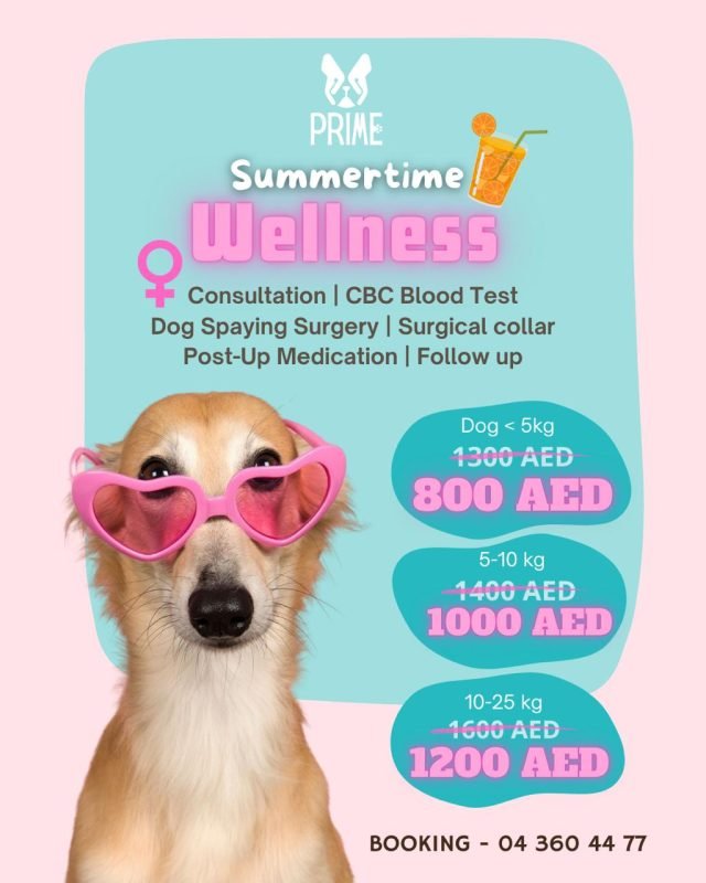 Summertime Wellness