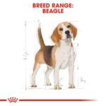 Breed Health Nutrition Beagle Adult 3 kg - Image 7