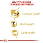 Breed Health Nutrition Cavalier King Charles Adult 1.5 kg - Image 7