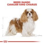 Breed Health Nutrition Cavalier King Charles Adult 1.5 kg - Image 5