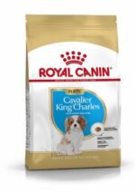 Breed Health Nutrition Cavalier King Charles Puppy 1.5 kg - Image 2