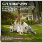 All O2PETS Super Snack Treats Beef Chips - Image 3