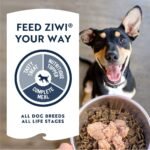 ZIWI Peak Chicken Recipe Wet Dog Food - Image 3