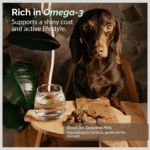 All O2PETS Super Snack Treats Fishballs with Algae - Image 2