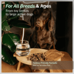 O2PETS Super Snack Treats Beef Croutons - Image 2