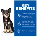 Hill’s Science Plan Perfect Digestion Small & Mini Adult 1+ Dog Food with Chicken & Brown Rice (1.5kg) - Image 3