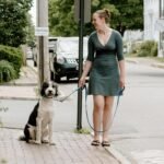 Fida Heavy Duty Dog Leash - Image 6