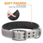 Fida Heavy Duty Dog Collar - Image 3