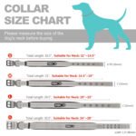 Fida Heavy Duty Dog Collar - Image 6