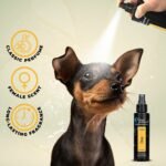 Groom Professional Diva Cologne (Perfume)- 100 ml - Exotic Female Scent - Image 3