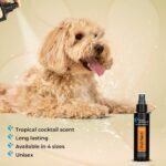 Groom Professional Fruit Punch Cologne 100ml - Image 4