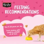 Kit Cat Kitty Crunch Tuna Flavor 60g - Image 2