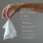 NurturePro AG+ Silver Pet Wet Wipes -Green Tea 10 Sheets - Image 9