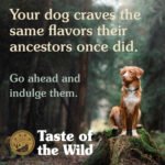Taste of the Wild Pine Forest Canine Recipe - Image 2