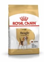 Royal Canin Beagle Adult 3 KG - Image 2