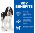 Hill’s Science Plan Adult Dog Food with Turkey (12x370g) - Image 3