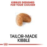 Royal Canin Cocker Adult 3 KG - Image 7