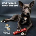 TastyBone Nylon Small Dog - Beef - Image 2