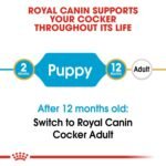 Royal Canin Cocker Puppy 3 KG - Image 7