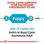 Royal Canin Dachshund Puppy 1.5 KG - Image 7