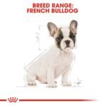 Royal Canin French Bulldog Puppy 3 KG - Image 3