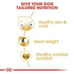 Royal Canin Cocker Adult 3 KG - Image 4