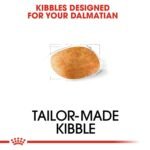 Royal Canin Dalmatian Adult 12 KG - Image 6