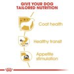 Royal Canin Chihuahua Adult (WET FOOD - Pouches) 12 x 85g - Image 5