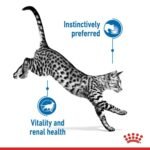 Royal Canin Feline Indoor (WET FOOD - Pouches) 12 x 85g - Image 3