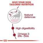 Royal Canin Medium Adult 15 KG - Image 3