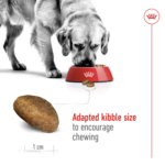 Royal Canin Maxi Adult 15 KG - Image 3