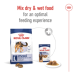 Royal Canin Maxi Adult 15 KG - Image 2