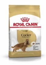 Royal Canin Cocker Adult 3 KG - Image 2