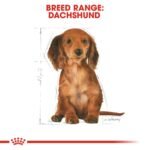Royal Canin Dachshund Puppy 1.5 KG - Image 3