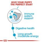 Royal Canin Maxi Puppy (WET FOOD - Pouches) 10 x 140g - Image 3