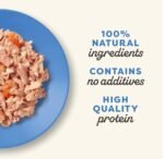 Applaws Fish Selection in Broth Adult Wet Cat Food 8 x 60g Pot - Image 4