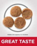 Hill’s Science Plan Perfect Weight Medium Adult Dog Food with Chicken - Image 3