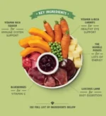 Lily's Kitchen Lamb Hotpot Wet Dog Food 150G - Image 2