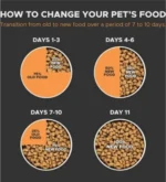 Arden Grange Grain Free Adult Fresh Chicken & Potato Dry Cat Food - Image 2